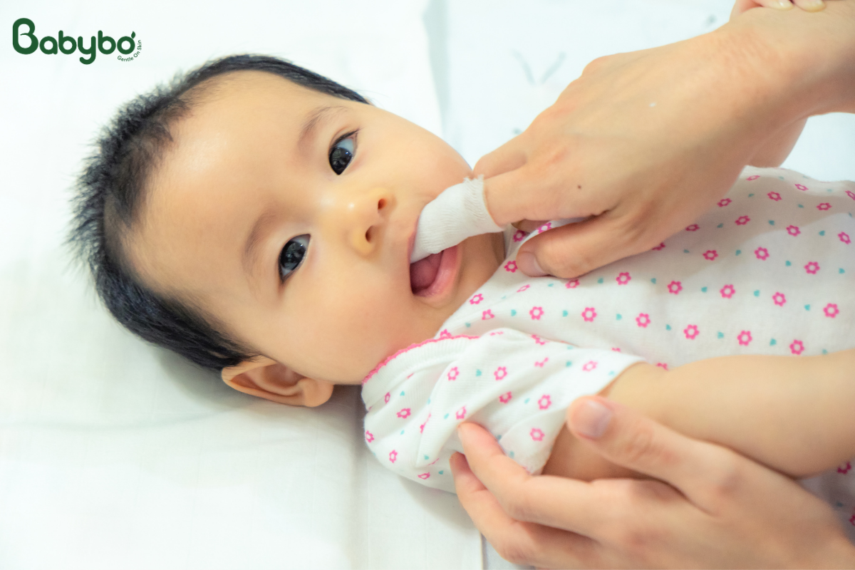Làm sạch nướu và lưỡi cho trẻ sơ sinh giúp bé dễ chịu hơn sau cữ bú.