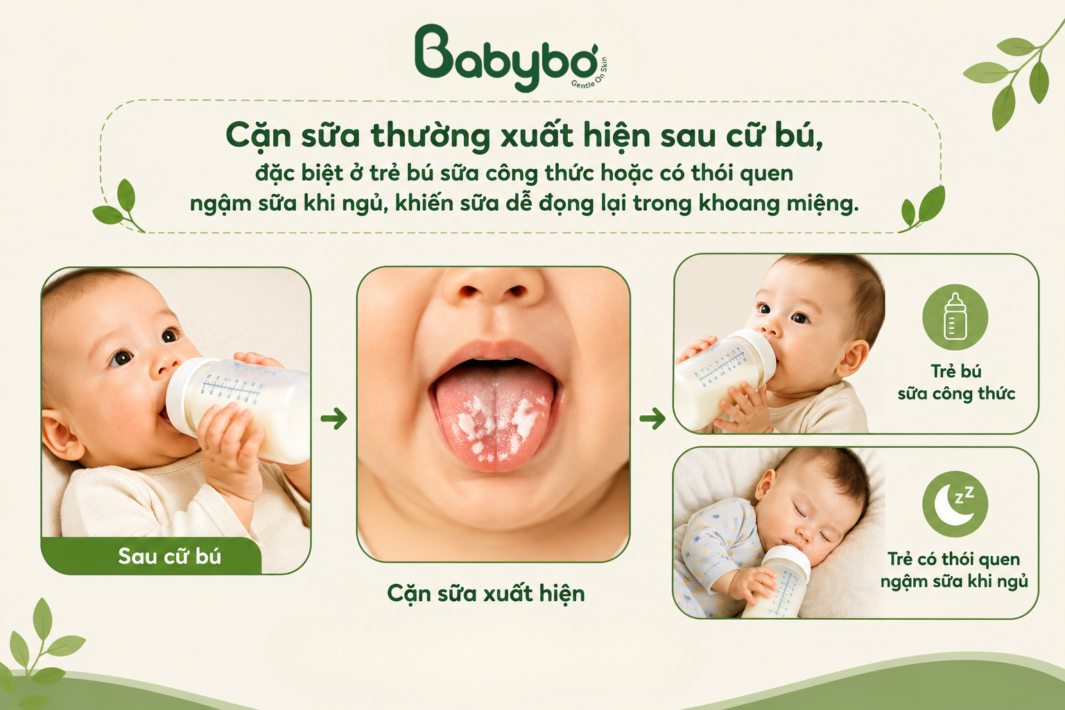 Vệ sinh nướu và lưỡi cho trẻ sơ sinh bằng gạc mềm sau cữ bú.